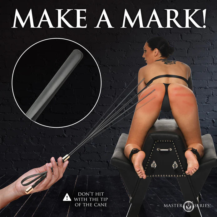SINFUL IMPACT CANE