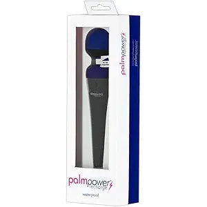 PALM POWER MSSGR BLUE RCHRG