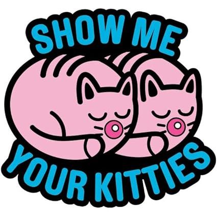 SHOW ME YOUR KITTIES PIN