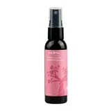 REFRESH CLNSNG TOUCH UP SPRAY