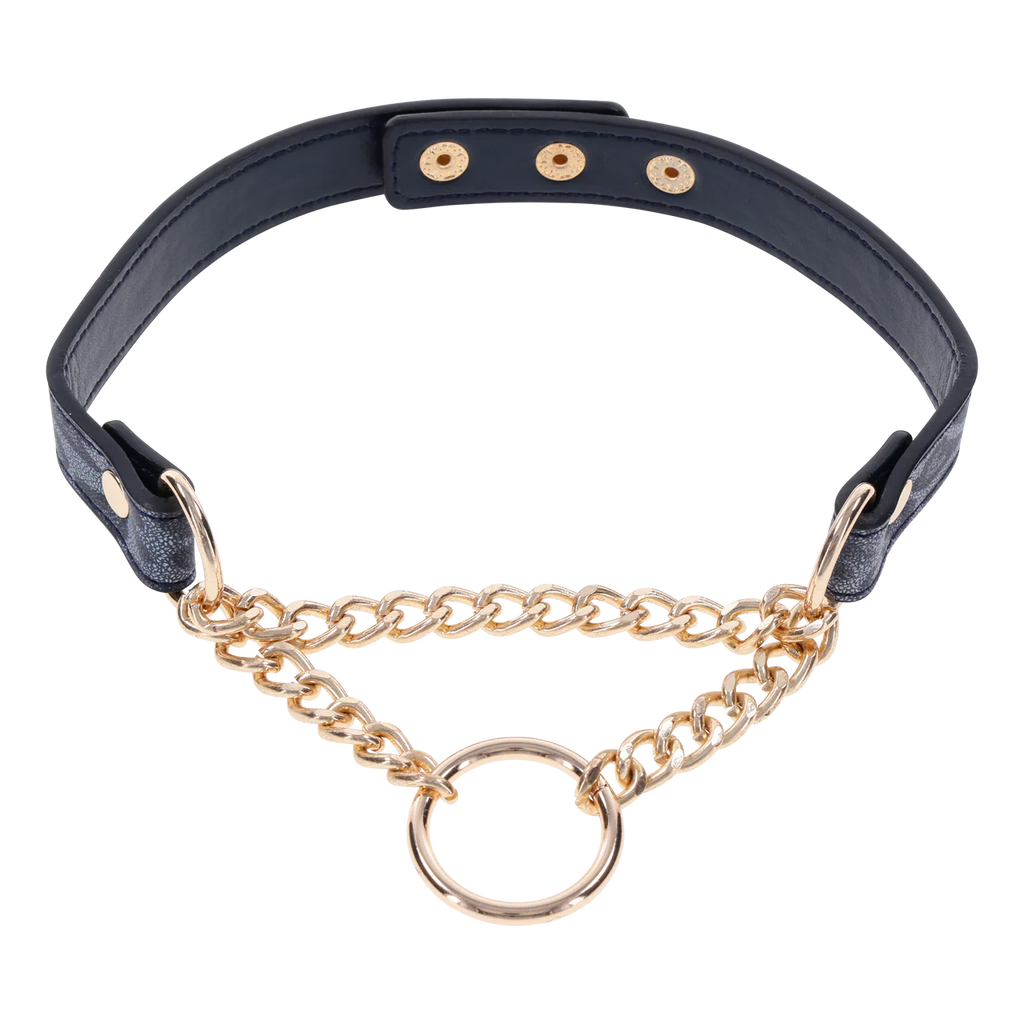 COUGAR DAY COLLAR