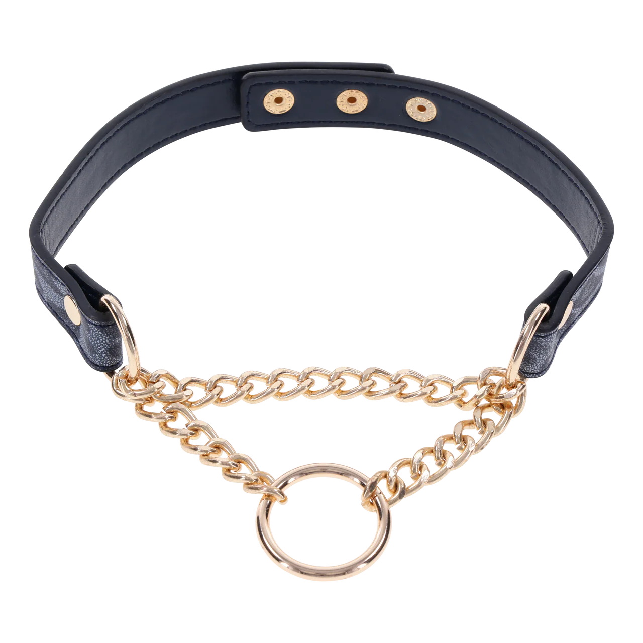 COUGAR DAY COLLAR