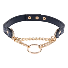 COUGAR DAY COLLAR