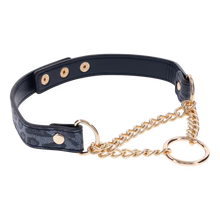 COUGAR DAY COLLAR