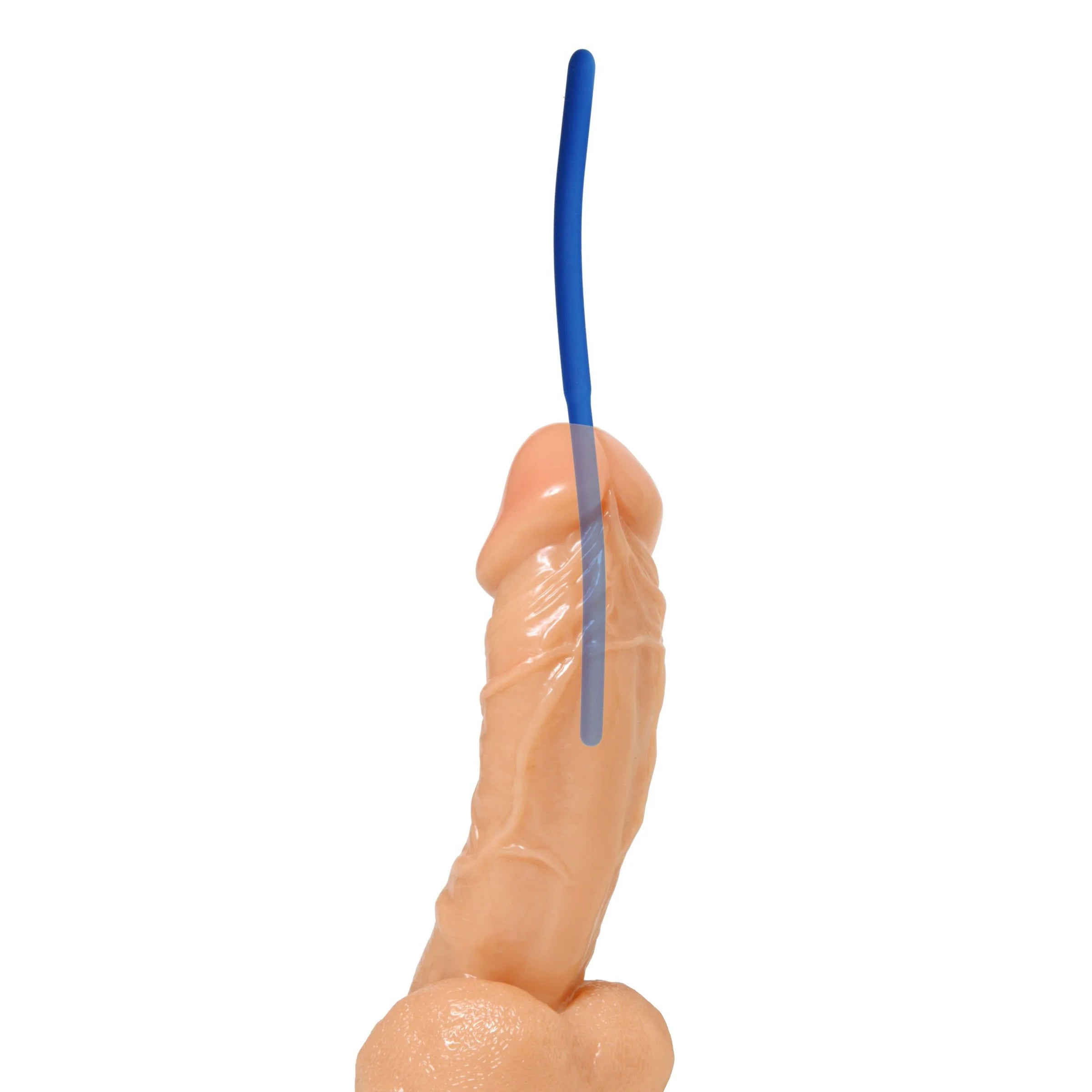 INVASION SLCN SOUND TRAINER