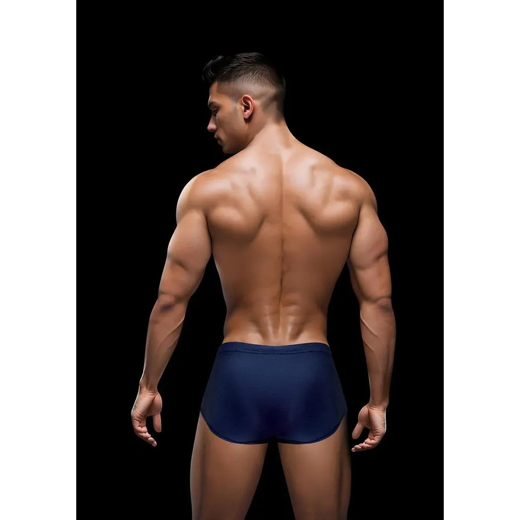 ENVY SEXY SLINKY BRIEF NVY LXL