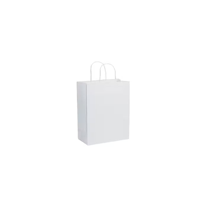 PATRICIAS MEDIUM BAG WHITE GLOSS 13