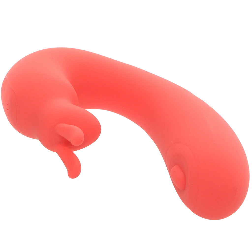 BLAZE BUNNY THUMPER CORAL