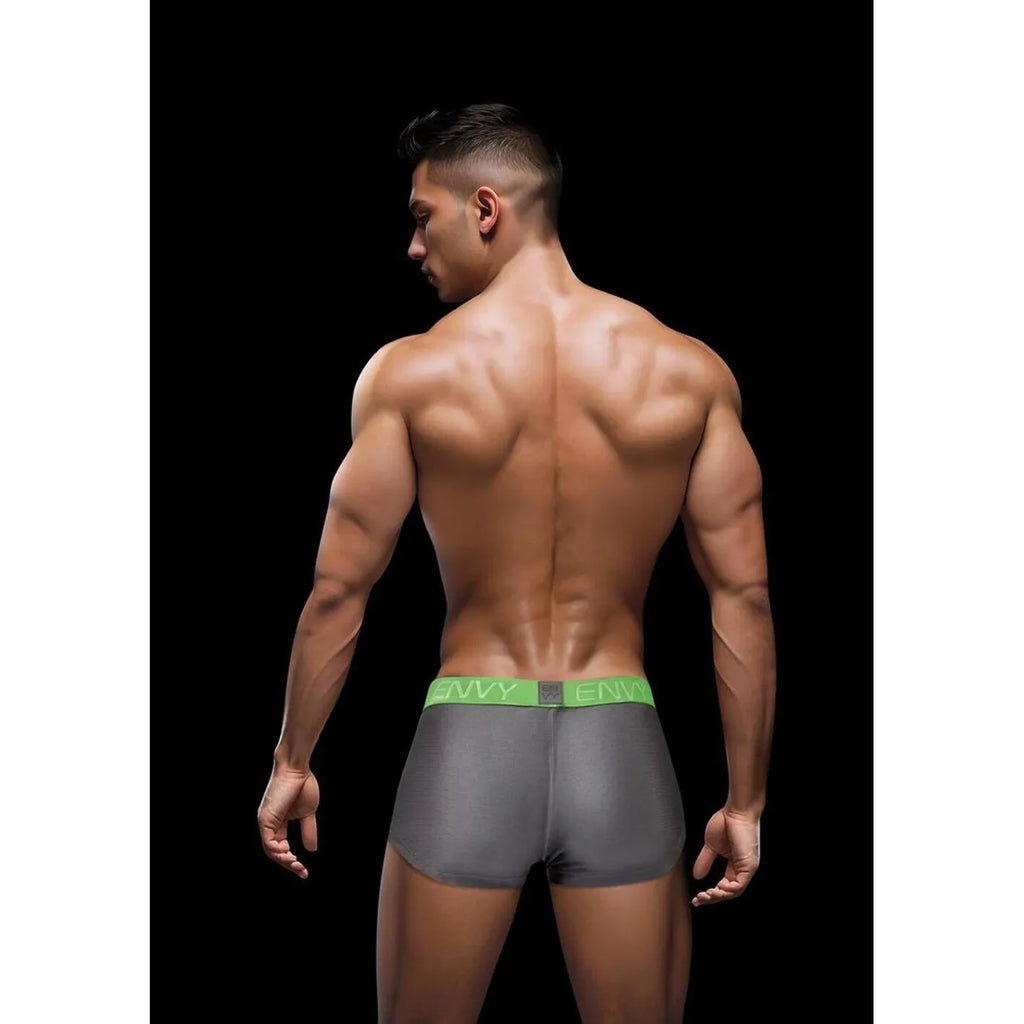 ENVY SEXY SLINKY TRUNK GRY SM
